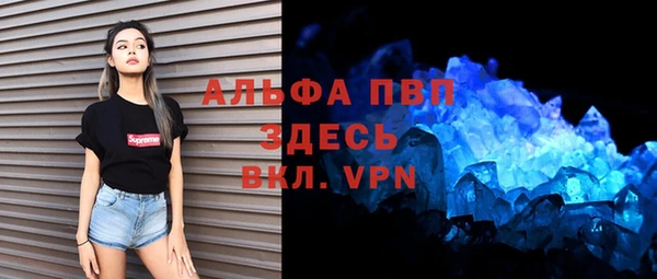 шишки Елизово