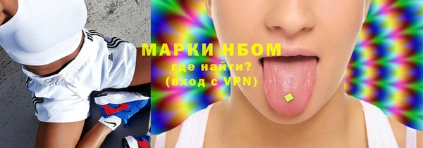 шишки Елизово