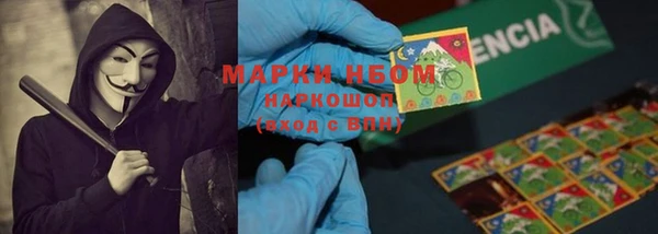 шишки Елизово