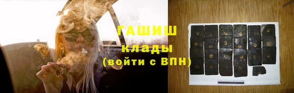 индика Сатка