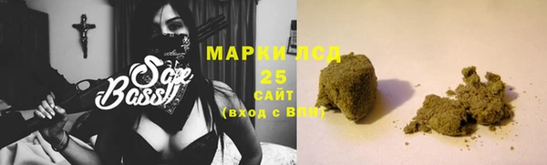 шишки Елизово