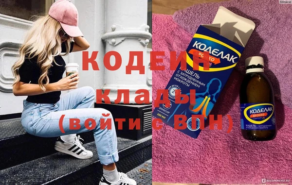 шишки Елизово