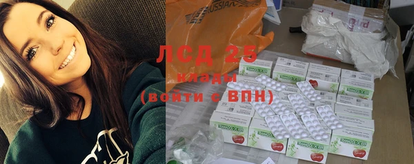шишки Елизово