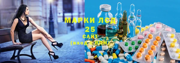 шишки Елизово