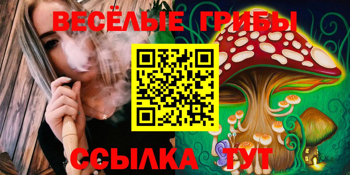 Галлюциногенные грибы Psilocybe Сальск