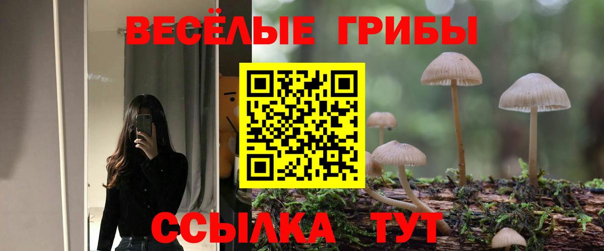 Галлюциногенные грибы GOLDEN TEACHER  цены наркотик  Сальск  Вход с VPN  Галлюциногенные грибы GOLDEN TEACHER 